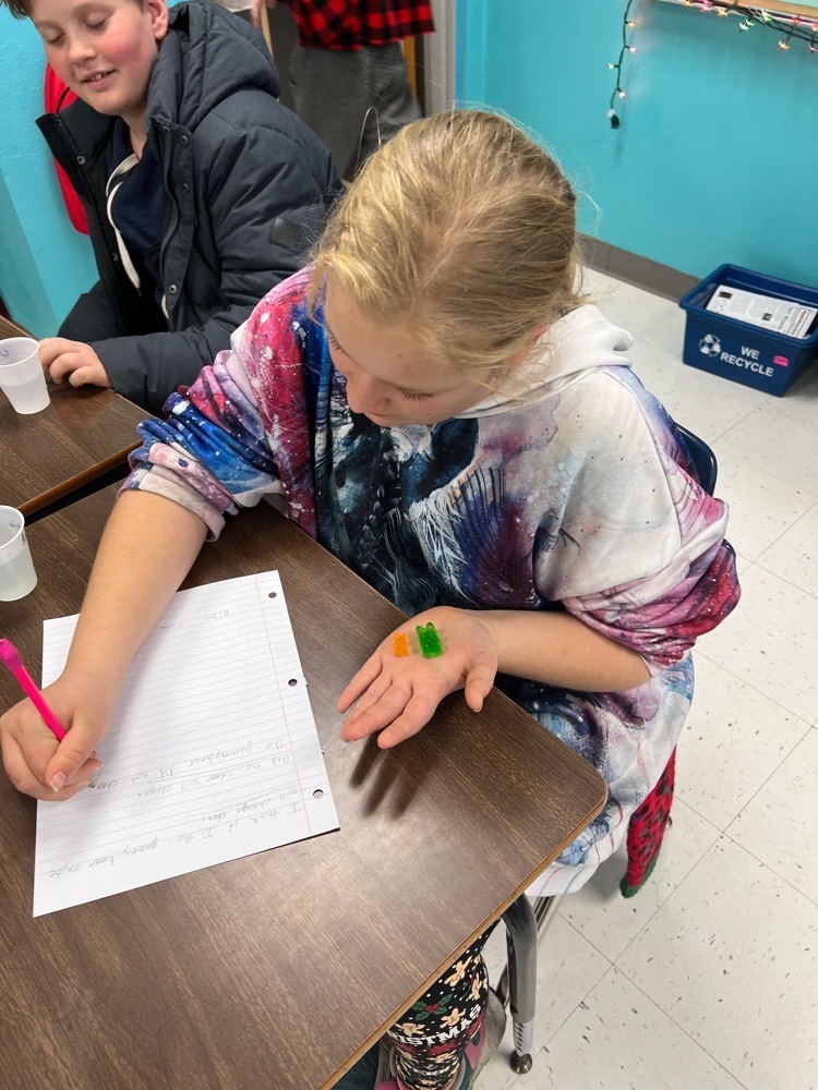 Live Feed Cobden Elementary