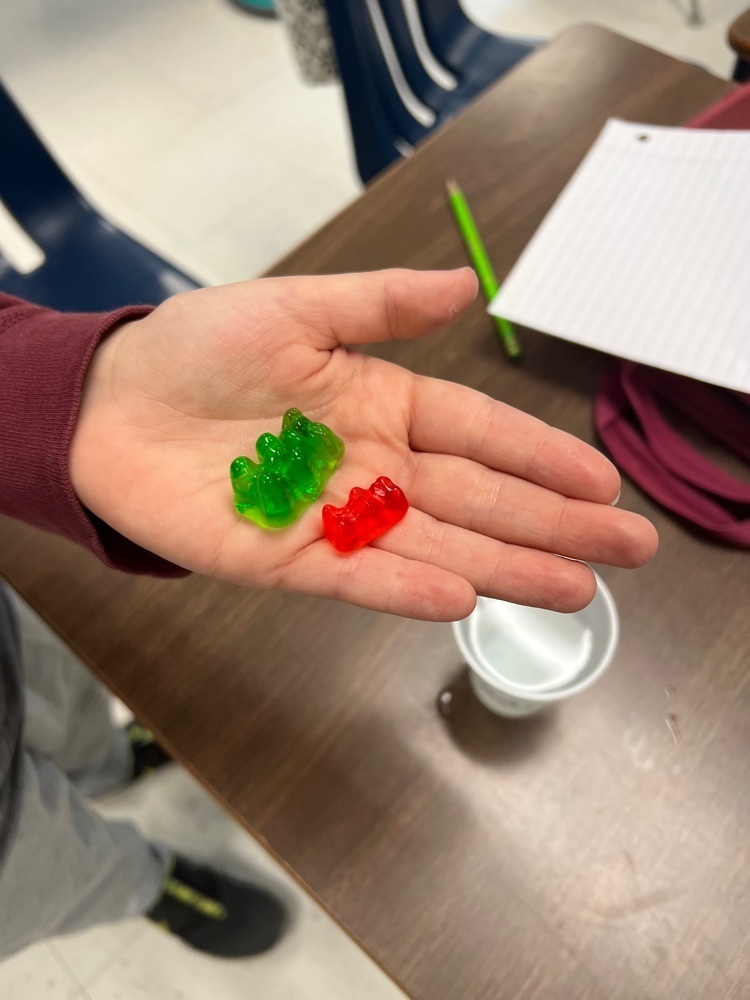 Live Feed Cobden Elementary